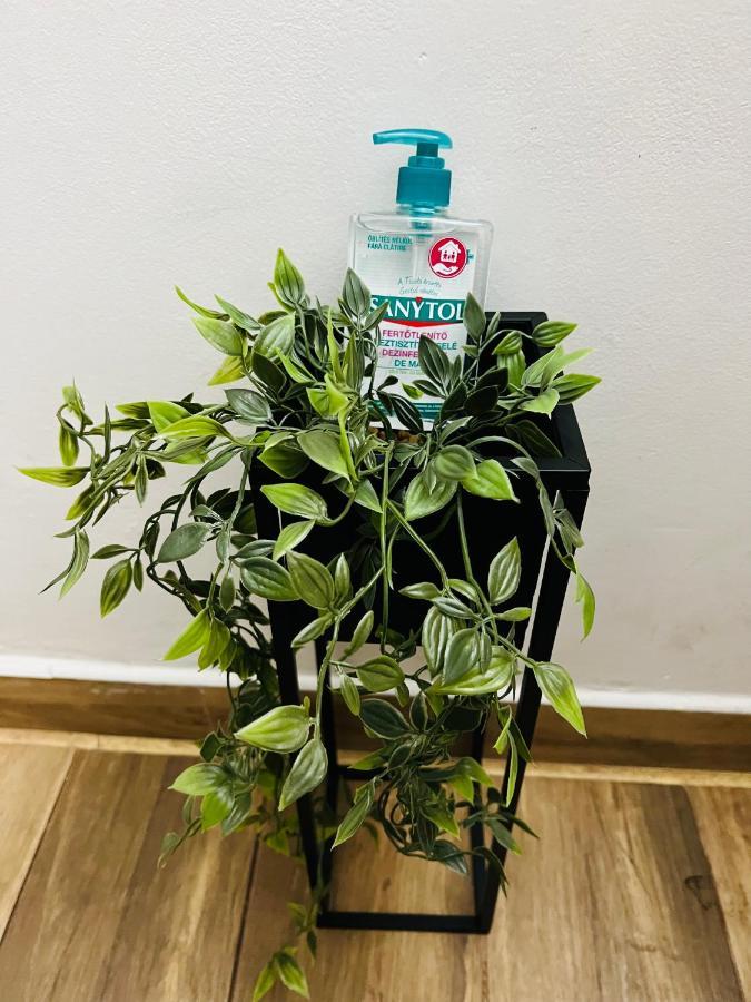 Altheda Living Tineretului E8 Apartment Сучеава Екстериор снимка