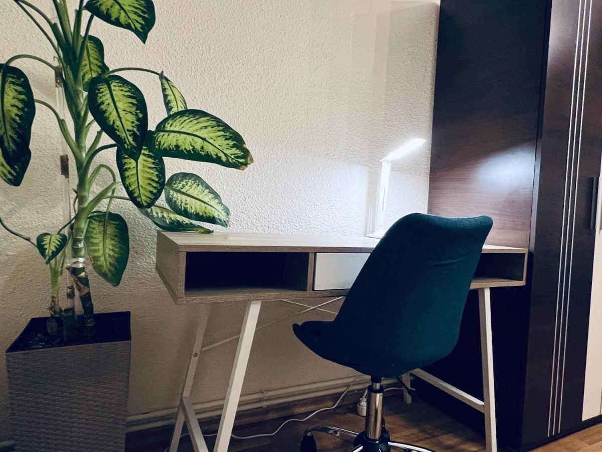 Altheda Living Tineretului E8 Apartment Сучеава Екстериор снимка